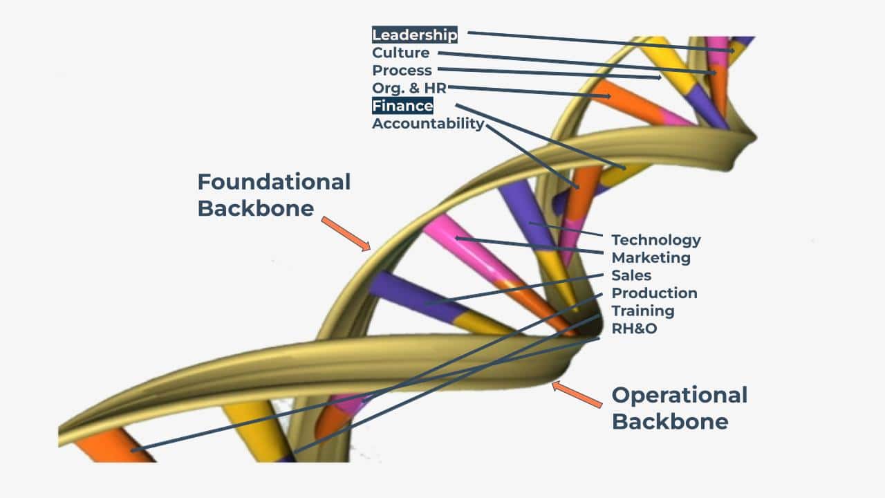 CCP Coaching DNA CCP Coaching DNA